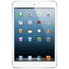 Apple iPad mini 16Gb Wi-Fi + Cellular белый - Гатчина