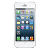 Apple iPhone 5 16Gb white - Гатчина